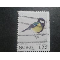 Норвегия 1980 синичка