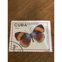 Куба 1989. Бабочки. Calithea saphhira. Марка из серии