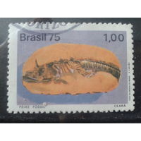 Бразилия 1975 Ископаемый скелет