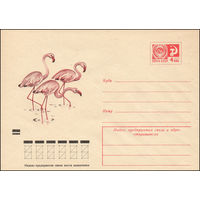 Художественный маркированный конверт СССР N 9234 (04.10.1973) [Фламинго]