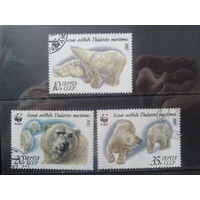 1987 Белые медведи WWF