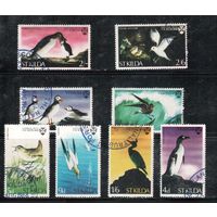 Шотландские острова(Сант Килда)-1968,   гаш., Фауна, Птицы(полная серия)