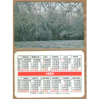 Календарь Природа (08878) 1989