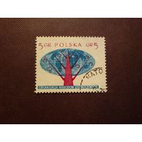 Польша 1957 г.Организация Объединенных Наций.Стилизованное дерево с планетой Земля./41а/