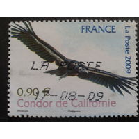 Франция 2009 кондор
