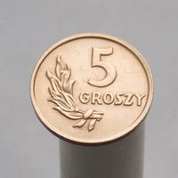 Польша 5 грошей 1949 Бронза  20mm