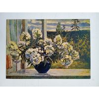 1956. цветы. Орлов. Белые флоксы