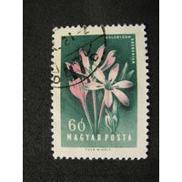 Венгрия 1958 Цветы