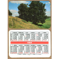 Календарь Природа (08876) 1989