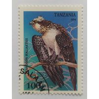 Танзания 1994, хищные птицы