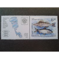 Эстония 2000 Рыбы, на купоне карта