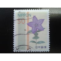 Япония 2011 цветок