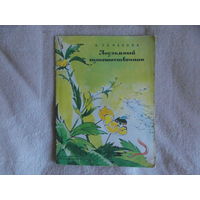 Романова Н. Подземный путешественник. Рисунки В. Алфеевского Москва Детская литература. 1973г.