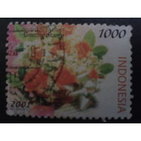 Индонезия 2001 Цветы