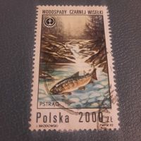 Польша 1992. Форель ручьевая