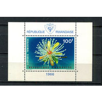 Руанда - 1966 - Цветы - [Mi. bl. 6] - 1 блок. MNH.  (Лот 114CK)