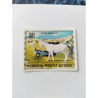 Монеолия  1971 козы