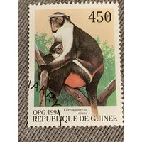 Гвинея 1998. Приматы. Марки из серии
