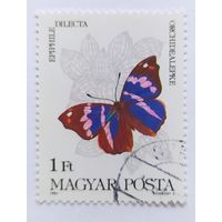 Венгрия 1984, бабочка