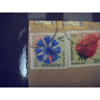 Вырезка из конверта с каталожной разновидностью марки красный овал флора цветы (Б-5)