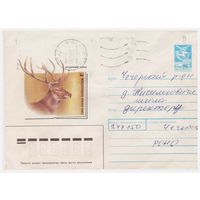 ХМК СССР, прошедший почту. Бухарский олень