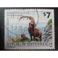 Австрия 2000 Горный козел Михель-1,5 евро гаш