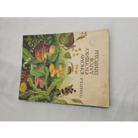 Брошюра (мини). Памятка. "Юному сборщику даров природы", 1983