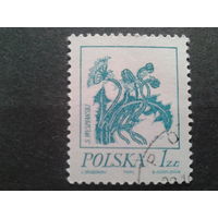 Польша 1974 стандарт цветы в живописи
