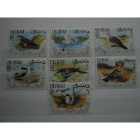 Марки - Дубай фауна птицы