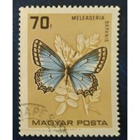 Венгрия 1966 бабочки 1 из 9