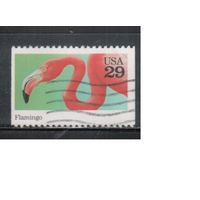 США-1992, (Мих.2325), гаш., Фауна , Фламинго