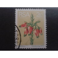 ЮАР 1974 стандарт, цветы