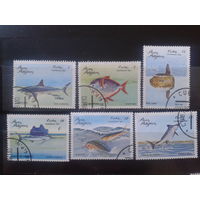 Куба 1981 Рыбы Полная серия