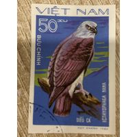 Вьетнам 1982. Хищные птицы. Icthyophaga nana. Марка из серии