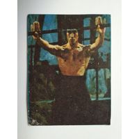Карточка от жвачки (45х60 мм) (Брюс Ли / Bruce Lee)