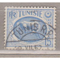 Французские Колонии Тунис 1950 год   лот 16 Лошадь - Из Музея Карфагена Культура Лошади Фауна