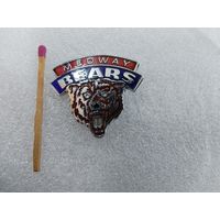 Знак. Хоккейная команда "Medway BEARS" . Медуэй Медведи. Англия. тяжелый