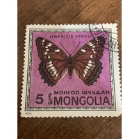Монголия 1974. Бабочки. Limenitis populi. Марка из серии