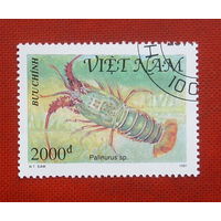Вьетнам. Фауна. ( 1 марка ) 1991 года. 2-17.
