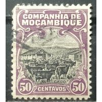 Мозамбикская компания 1925г.