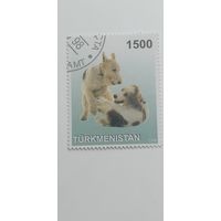 Туркменистан 1998. Собаки