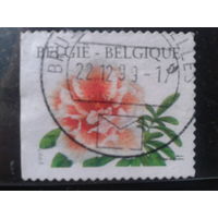 Бельгия 1997 Стандарт, цветы, марка из буклета, обрез слева