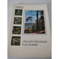 Набор из 25 открыток "Экскурсия в природу. Лекарственные растения" 1978г.