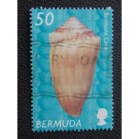 Бермуды 2002 г. Ракушка.