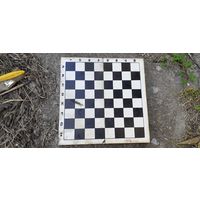 Доска шахматная