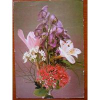 Fot. A.Pisarski  "цветы"   подписана,1974 г.   т.30.000 (Польша)