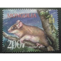 Монголия 2003 фауна