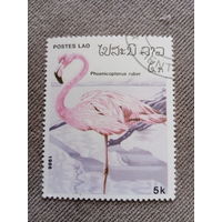 Лаос 1986. Фауна. Фламинго