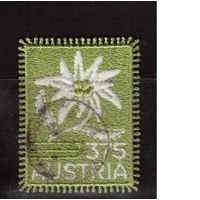 Австрия-2005,(Мих.2538) гаш.,   Флора, Цветы, Эдельвейс, Вышивка на шелке
