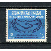 Иордания - 1965 - Год международного сотрудничества 10F - [Mi.562] - 1 марка. Гашеная.  (Лот 47CP)